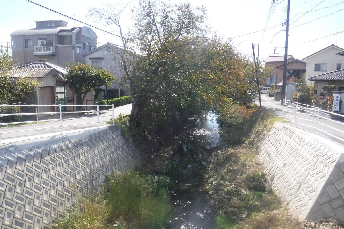 Before